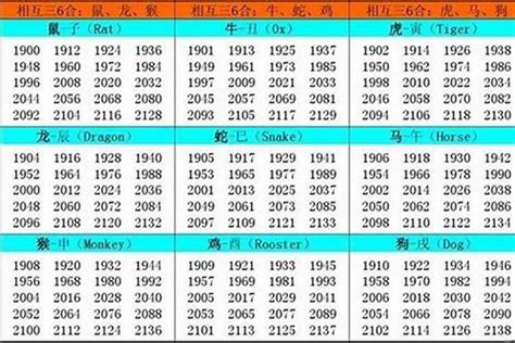 1982属相|1982出生属什么生肖查询，1982多大年龄，1982今年几岁